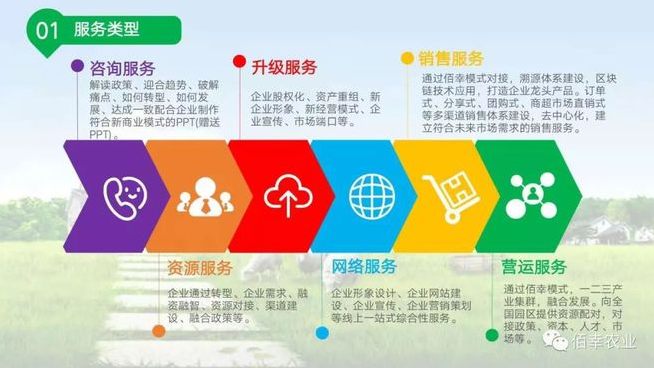 全面推进乡村振兴的十大重点