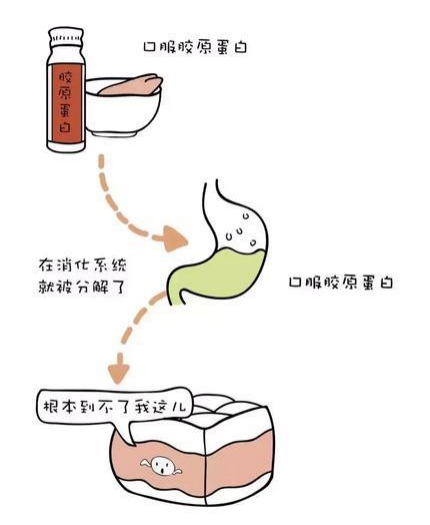 吃猪皮不一定变美，但一定会变胖！
