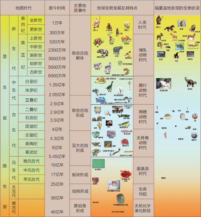 《临夏灿烂文化系列画册》之临夏·海洋古生物化石
