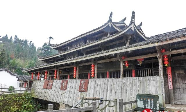 浙江农村有棵1500年坚强树，肚子中间架钢筋，身上挂满了吊针