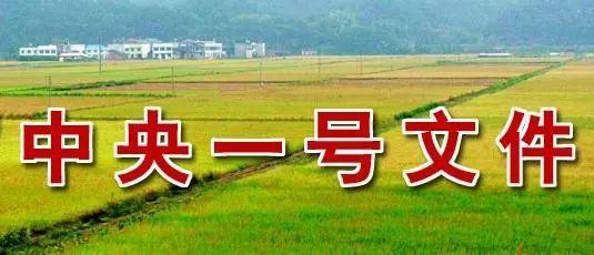 中央财办等部门印发《关于有力有序有效推广浙江“千万工程”经验的指导意见》