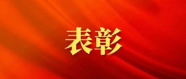 民政部关于表彰全国先进社会组织的决定