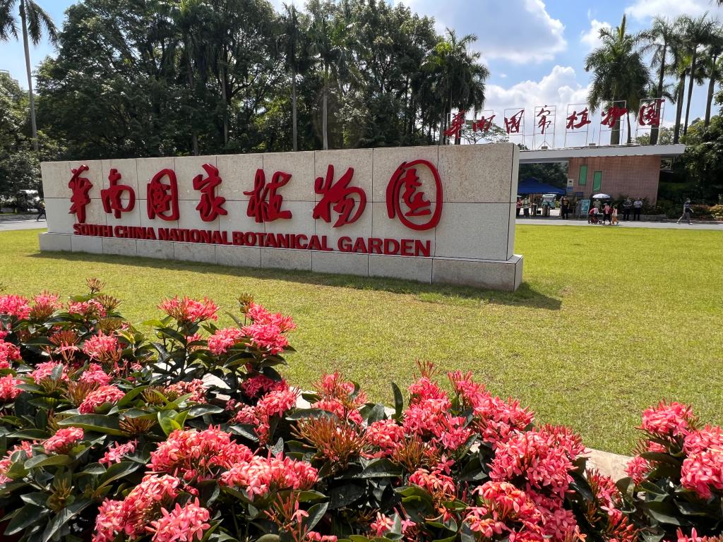 今天，正式揭牌！好靓！