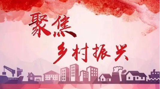 让更多优秀人才投入到乡村振兴中