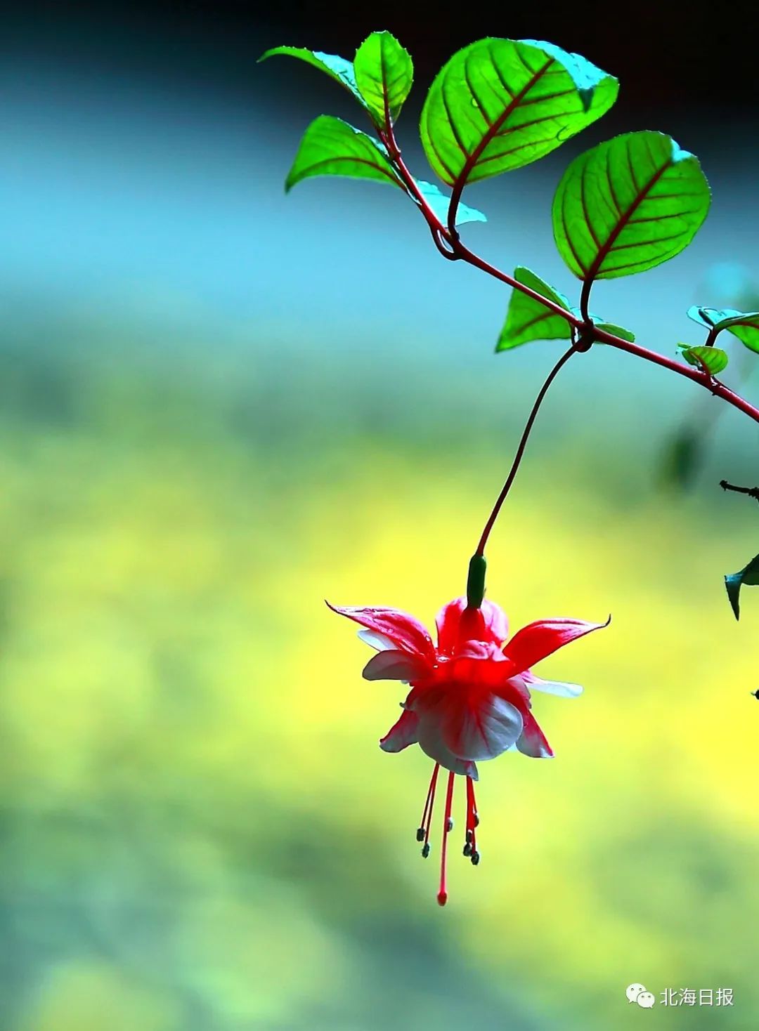 【夜读·节气】最好新秋时
