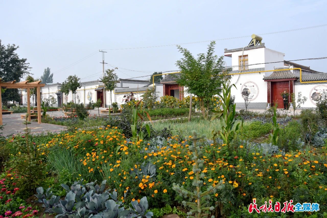 学习取经中凝聚起加快乡村振兴的新动力——全省乡村治理现场推进会临夏站观摩侧记