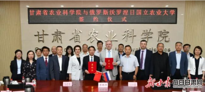 专家齐聚共探马铃薯产业可持续发展