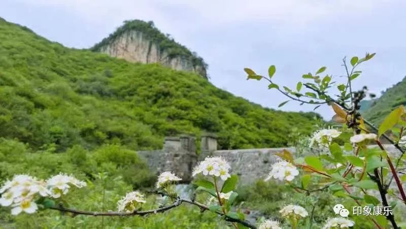 康乐县文旅摄协探险记