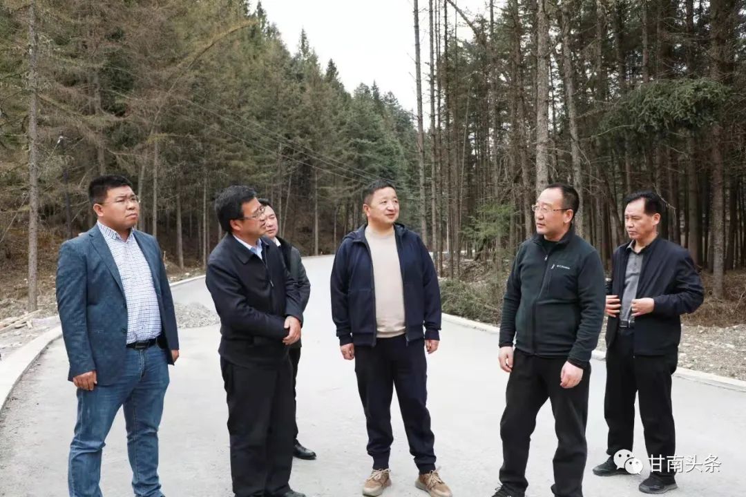 杨武：高位谋划文化旅游产业与乡村振兴深度融合 统筹推动区域经济社会全面协调可持续发展