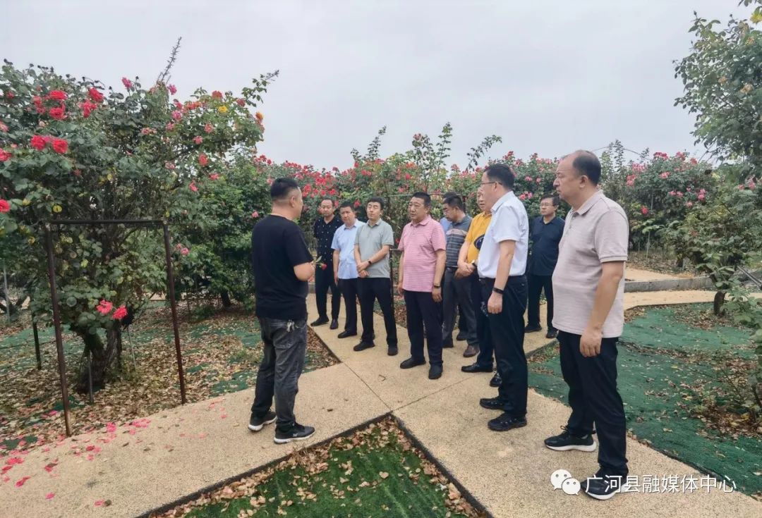 马信真一行在南阳市卧龙区考察