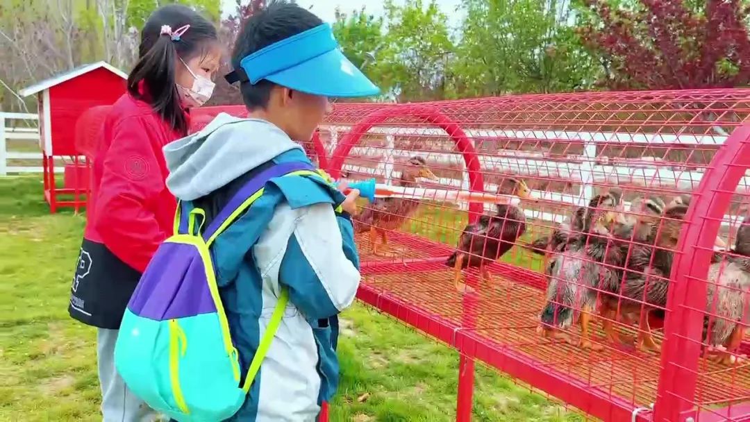 牡丹花开金贵富 联农带农产业兴