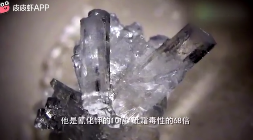 要小心这些食物藏有黄曲霉毒素.