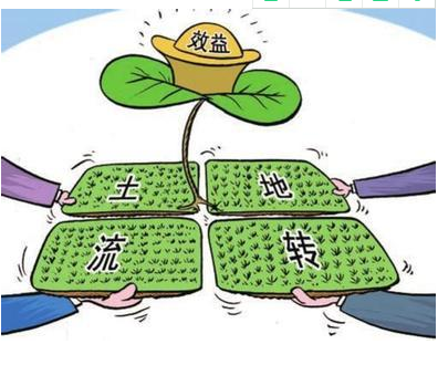 农业部：加快制定《农村土地经营权流转管理办法》细则或措施