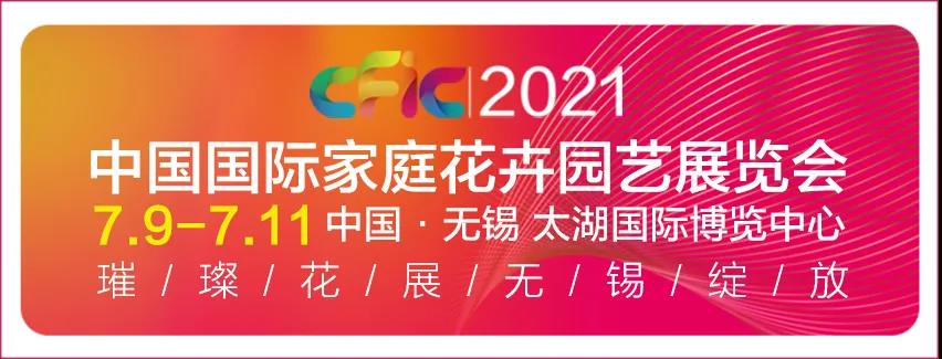 长安街上，这10组立体花坛一经亮相便红爆网络