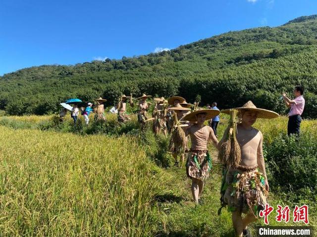 海南山兰稻飘香 黎乡举办“啦奥门”文化节庆丰收