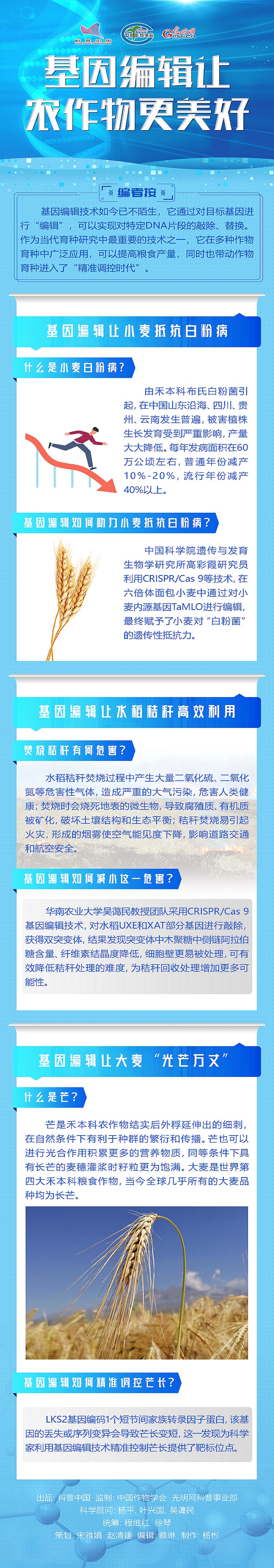 科学普及 | 基因编辑让农作物更美好