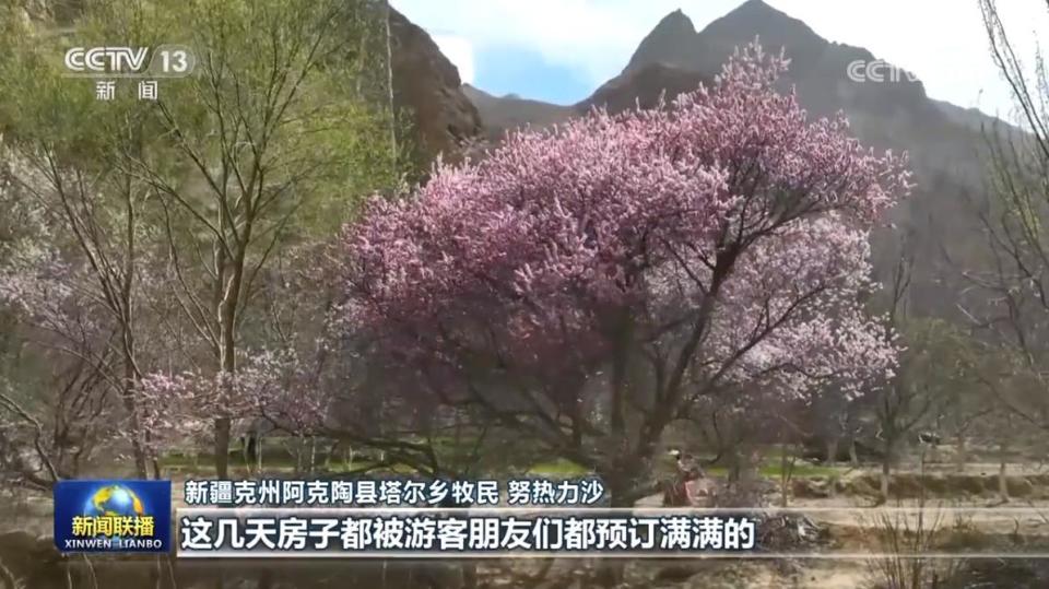 旅游市场持续回暖 激发消费新活力