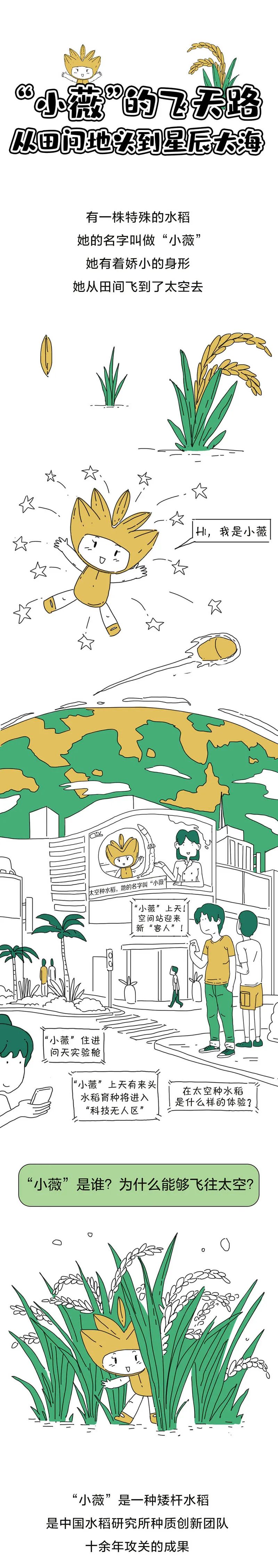 中国人的种菜天赋有多强？太空也能种水稻！