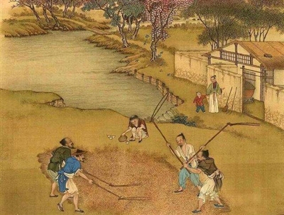 古代诗词中的农学