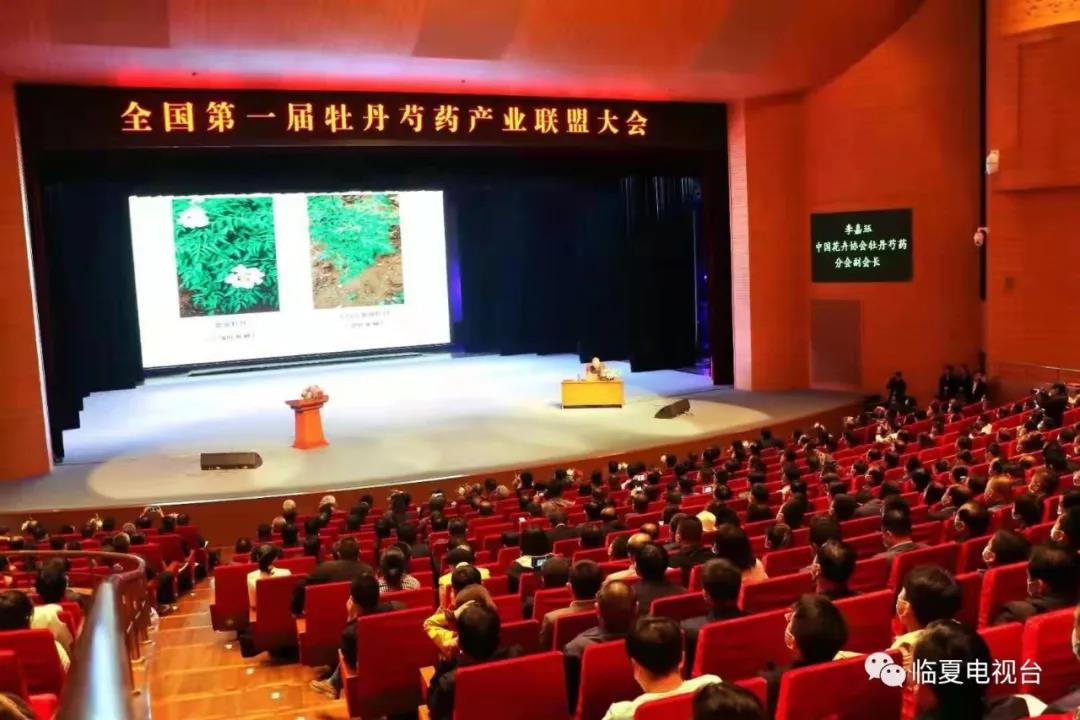 古韵河州展新颜 牡丹月里迎客来 全国第一届牡丹芍药产业联盟大会在临夏市举行