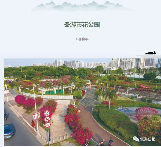 【夜读 · 游北海】冬游市花公园