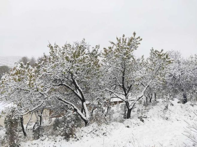 冷空气再袭甘肃 将带来雨雪、降温、大风、沙尘……