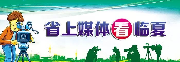 户均一大棚 年入5万元！临夏县后续产业扶持让易地搬迁群众生活有奔头