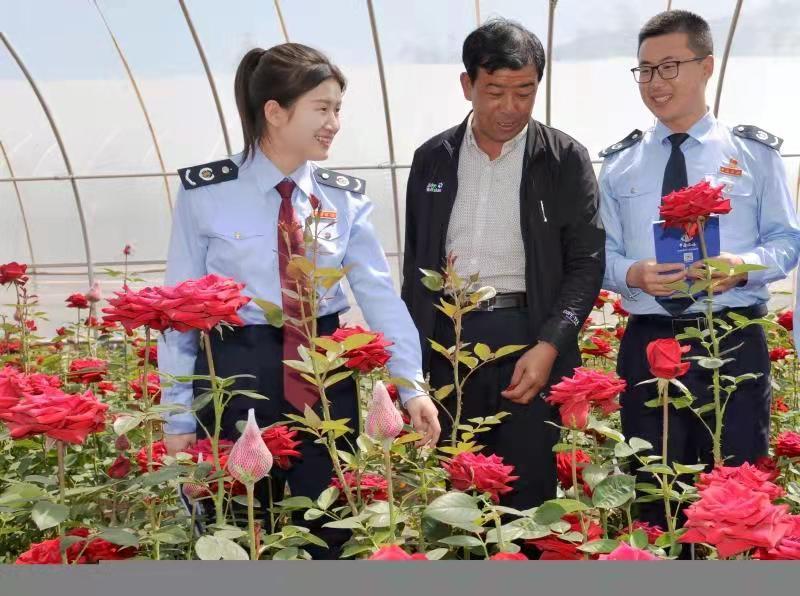 甘肃渭源：“春雨润苗”助企业 “幸福账单”惠民生